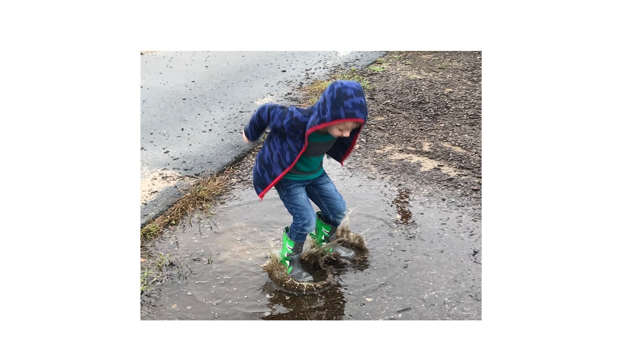 Corunna Public Schools